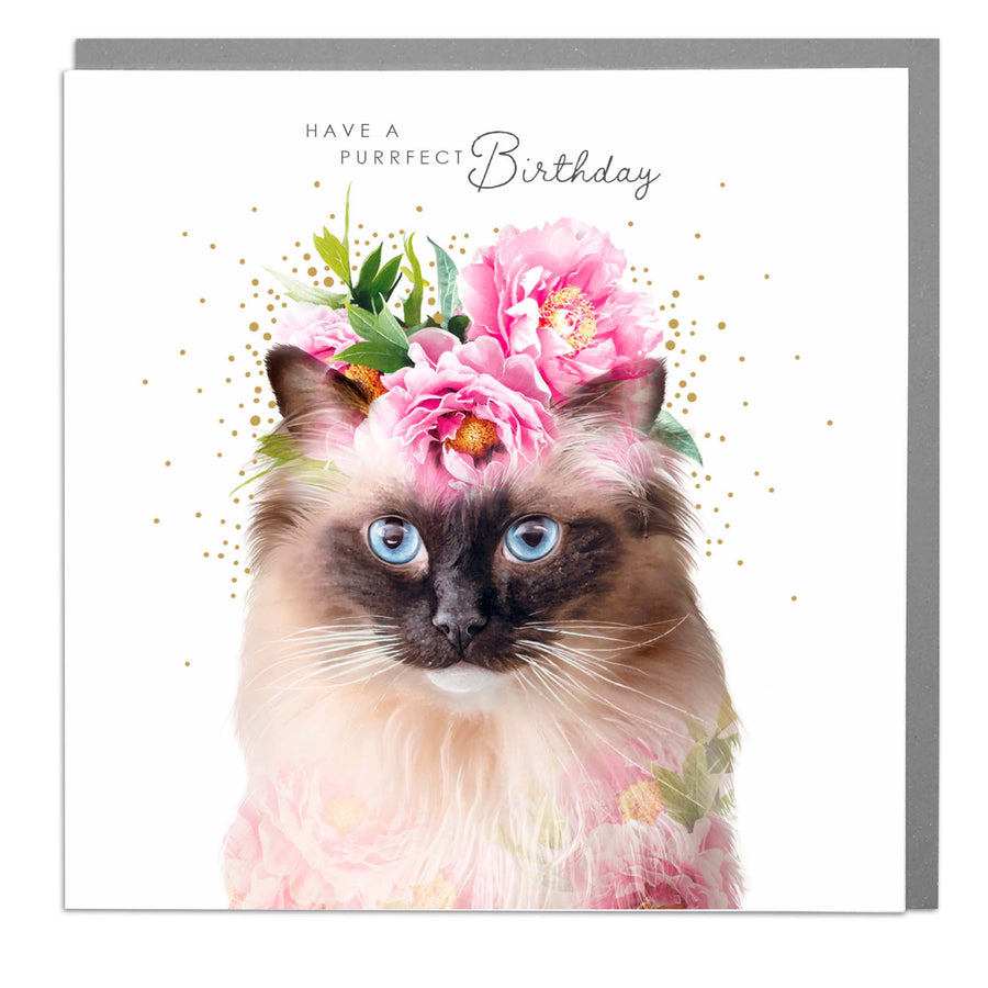 Wildlife Botanicals Birthday: Cat