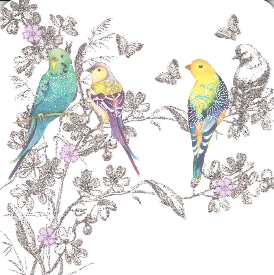 Pizazz Ltd Ed: Budgies