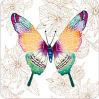 Pizazz Ltd Ed:Butterfly