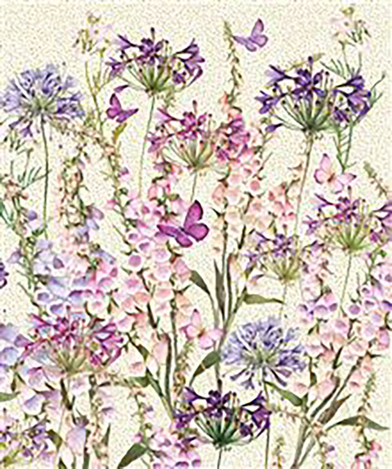 Pizazz Gallery: Agapanthus