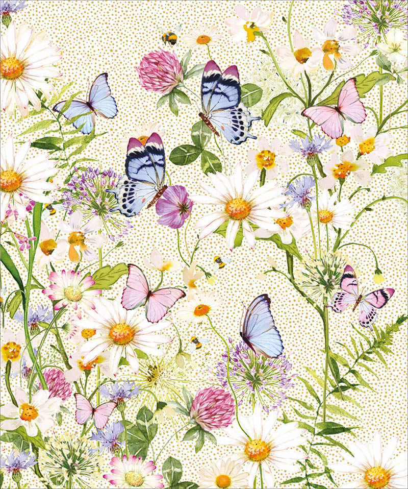 Pizazz Gallery: Oxeye Daisy