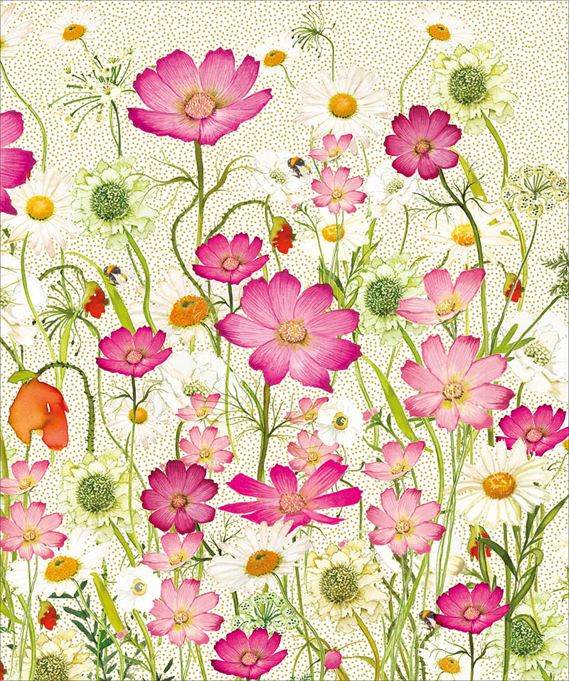 Pizazz Gallery: Warm Sumr Grdn