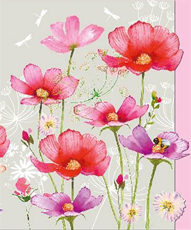 Pizazz Gallery:Birthday Pink Cosmos