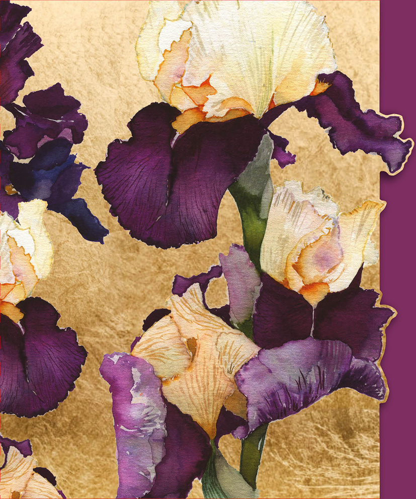 Pizazz Gallery: Purple Iris