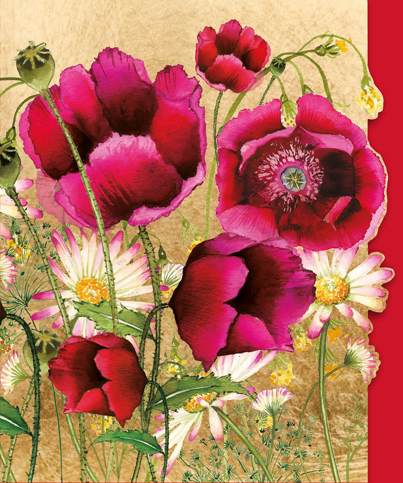 Pizazz Gallery: Red Poppies