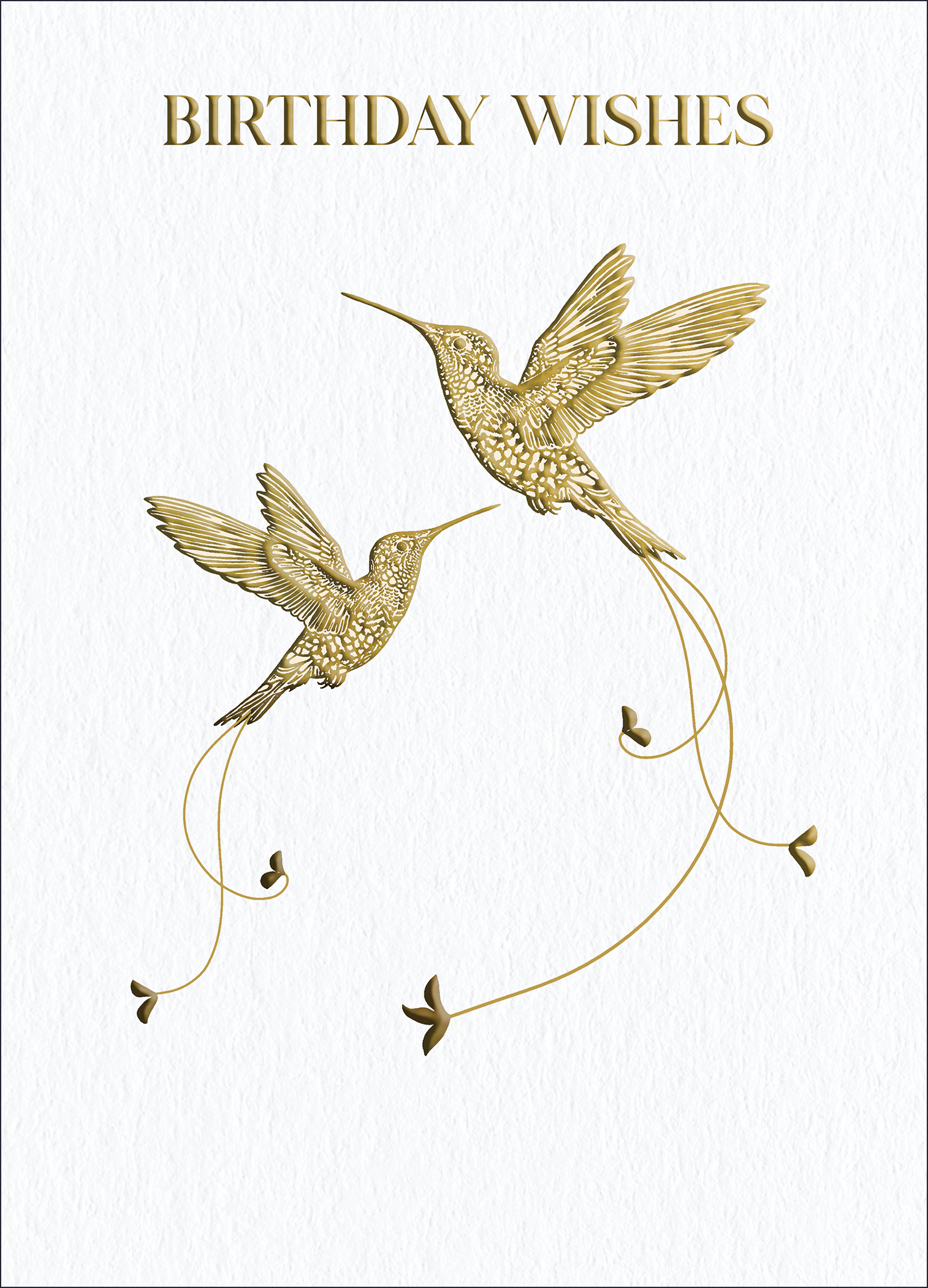 Little Treasures: Hummingbirds