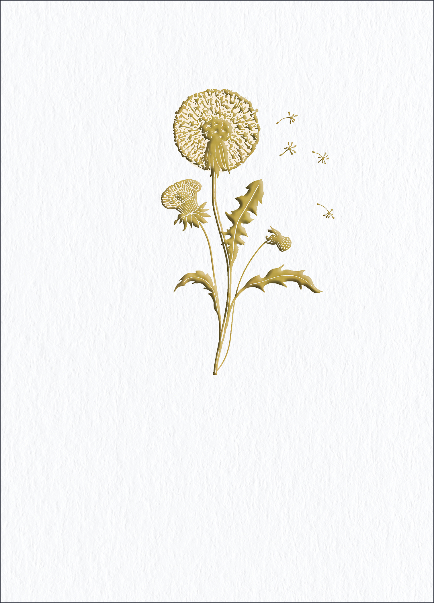 Little Treasures: Dandelion