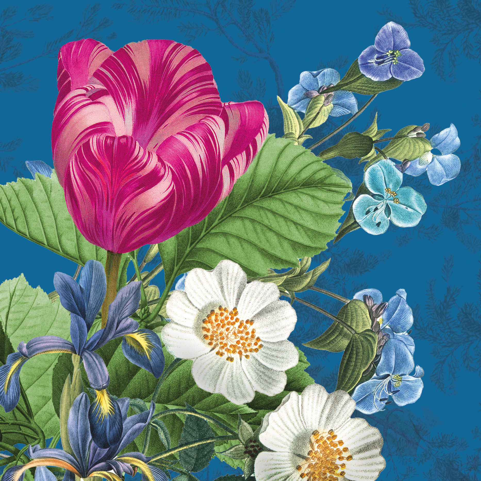 Botanist: Classical Bloom