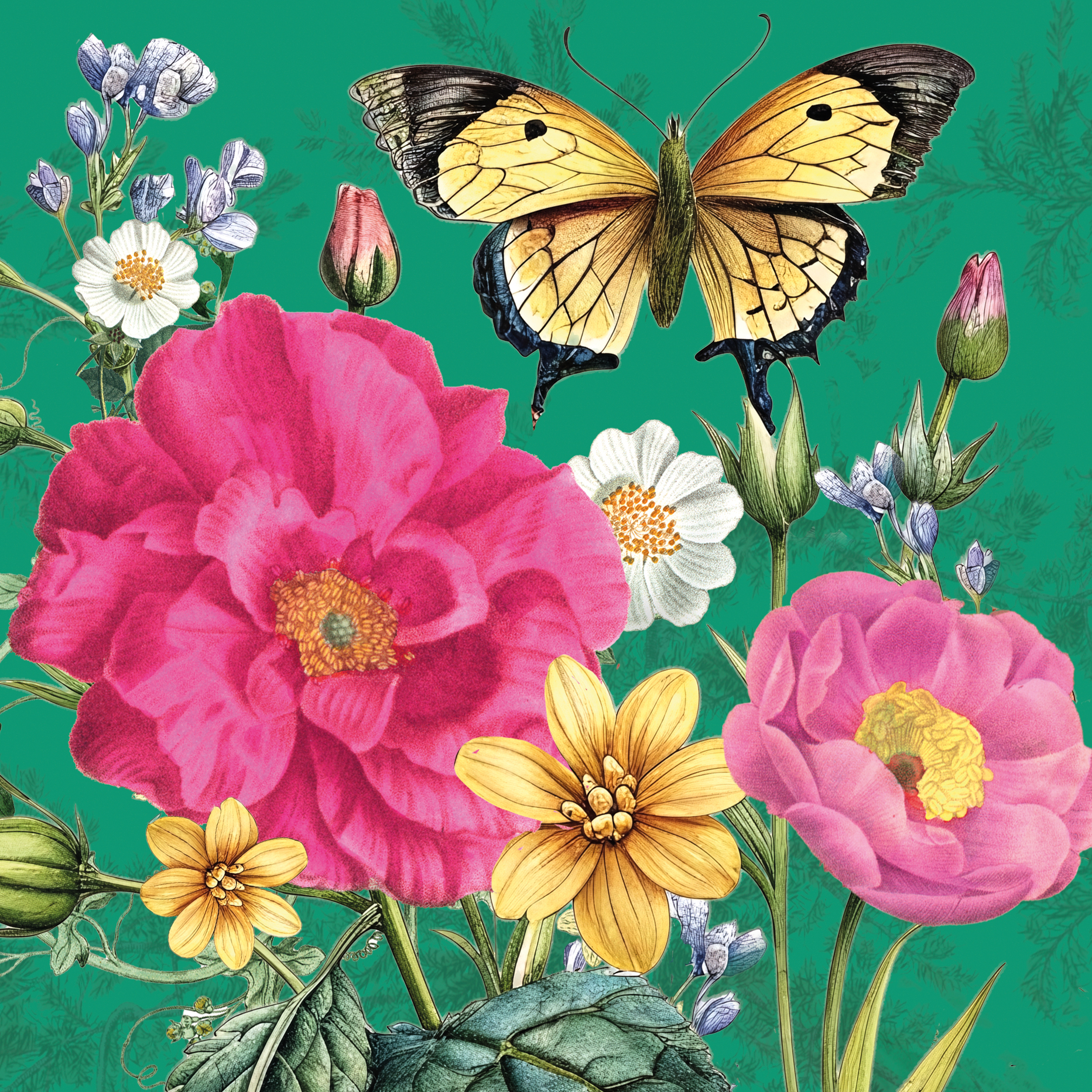 Botanist: Fuchsia Garden