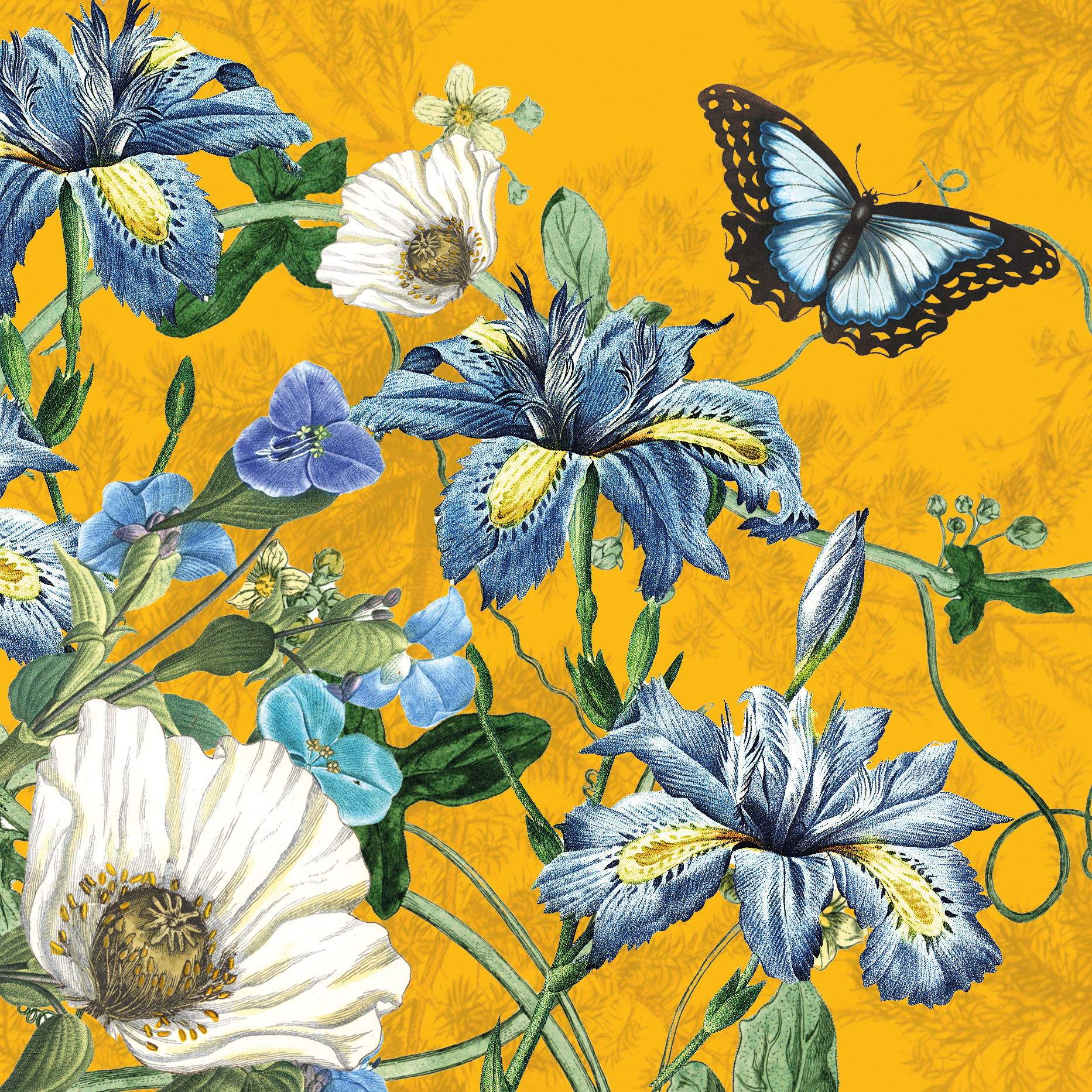 Botanist: Indigo Sunset