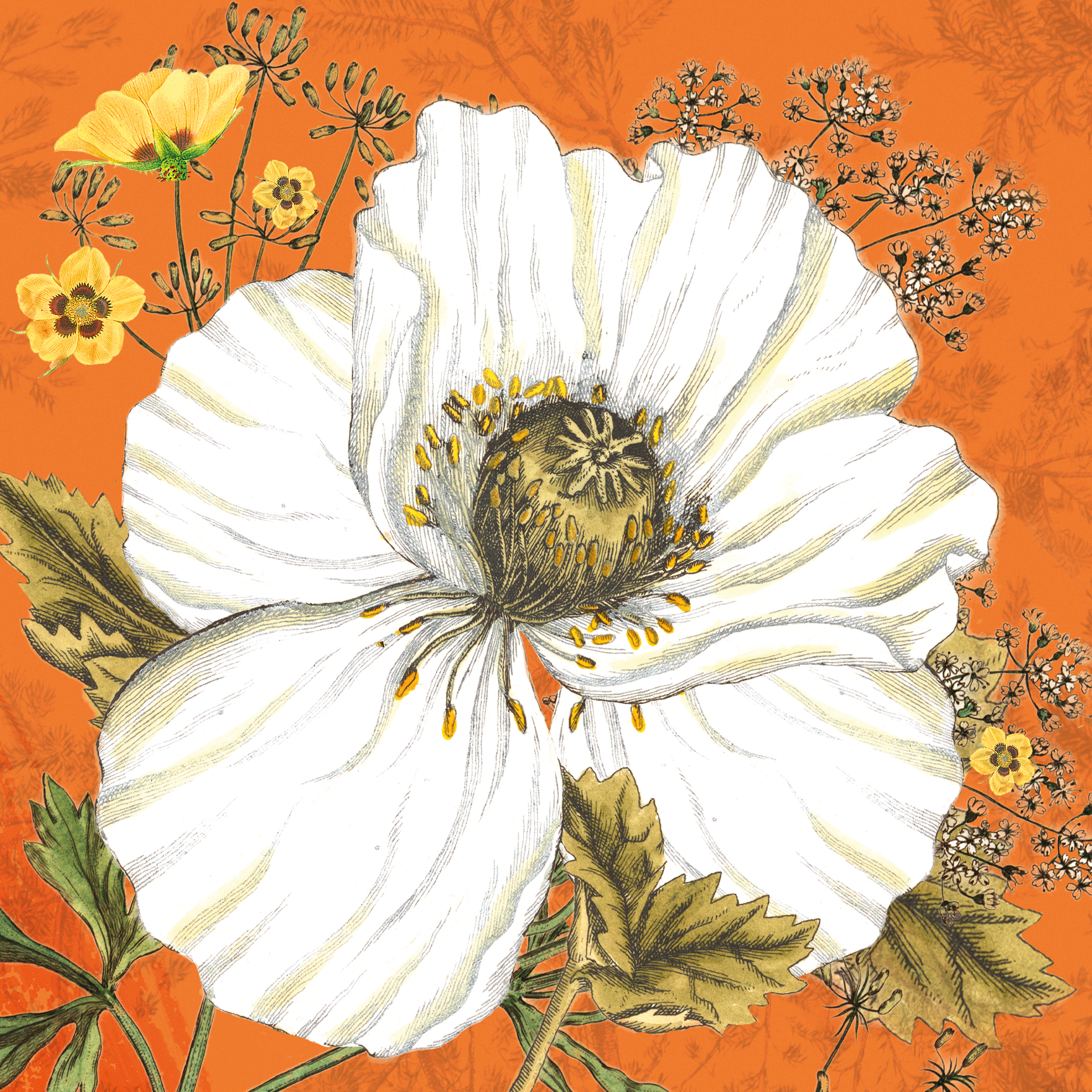 Botanist: Saffron Bloom