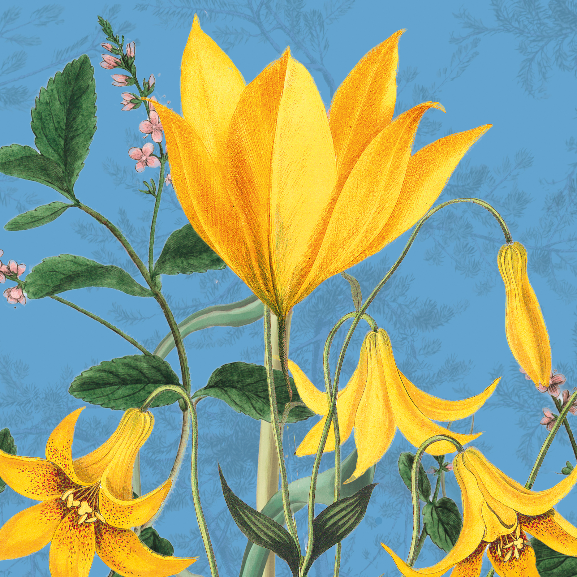 Botanist: Tuscan Sun