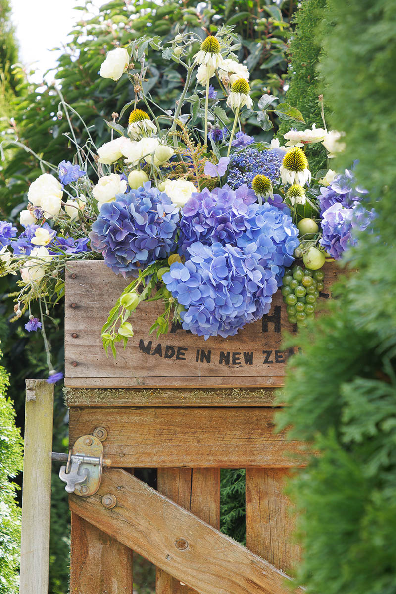 Artists Garden: Hydrangea Box