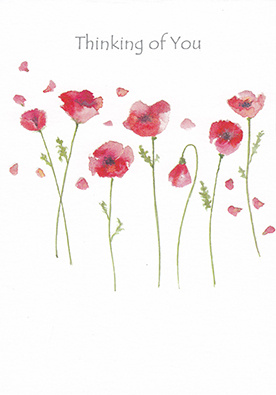 Avocado: Thinking Of U Poppies