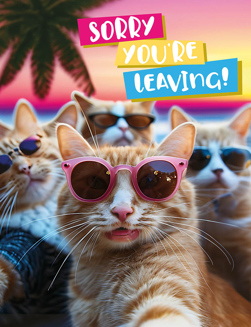 Jumbo: Photogram Syl Cats