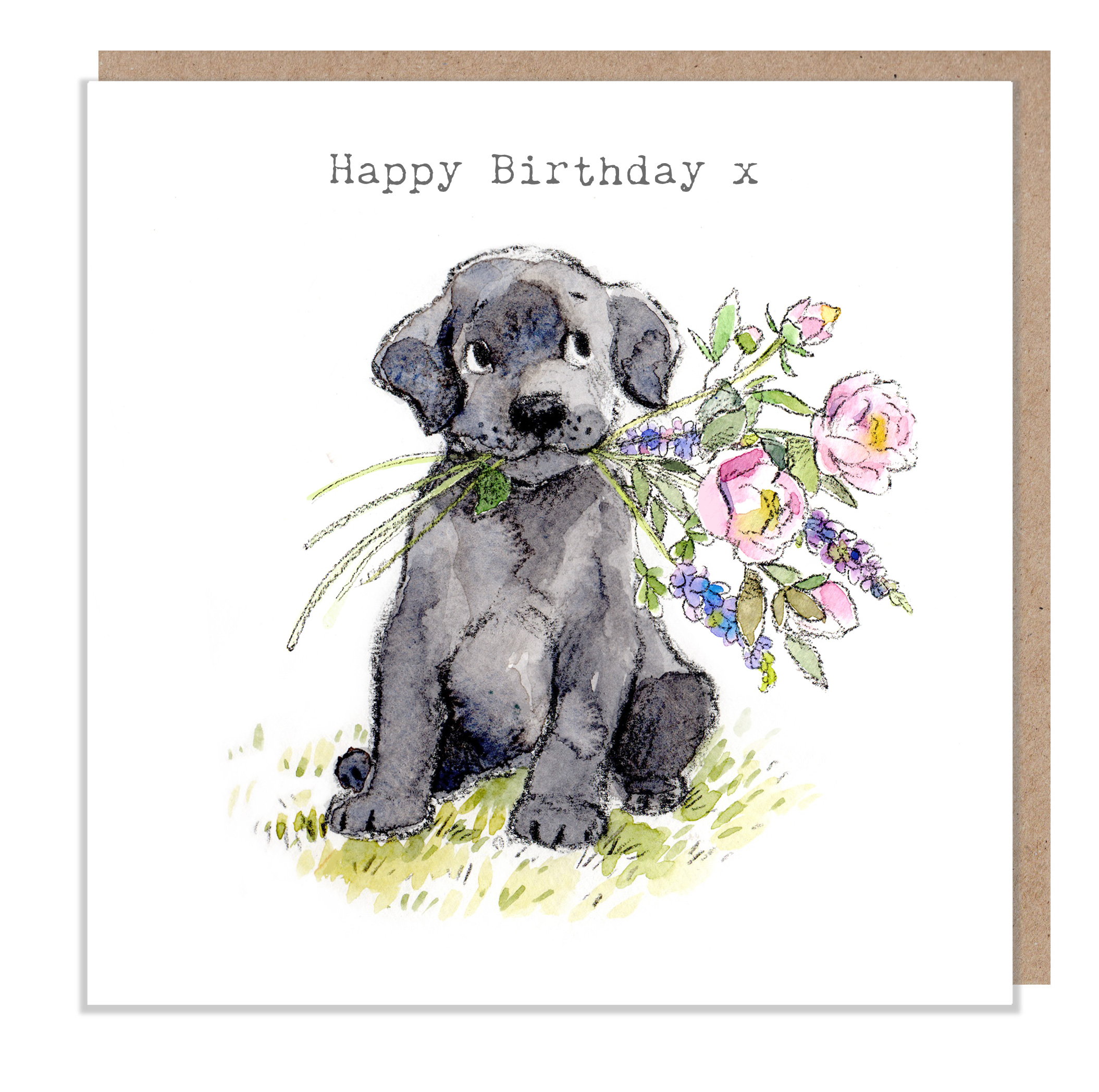 Barking : Black Labrador