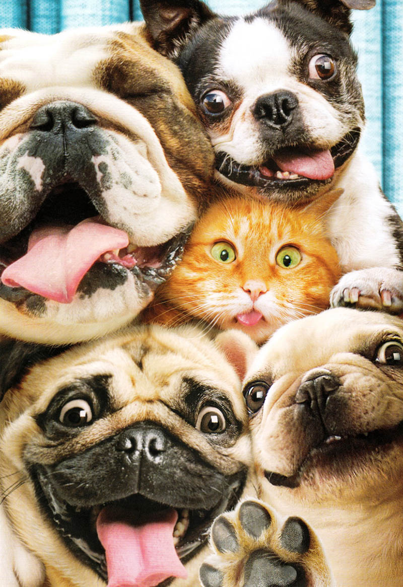 Avanti: Birthday Photobooth