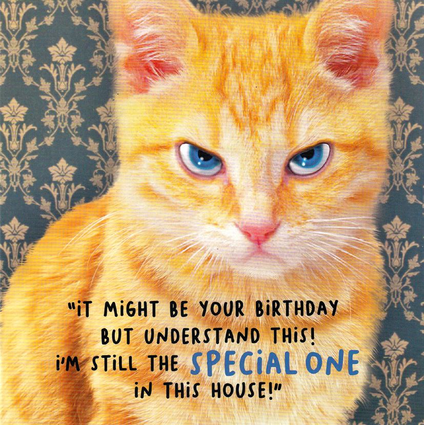 Virtual Safari: Special One