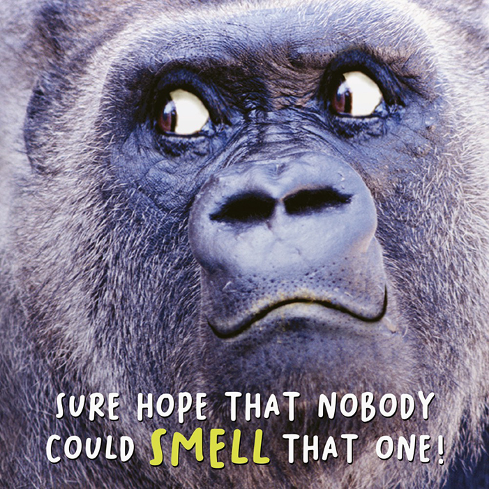 Virtual Safari: Smell That One