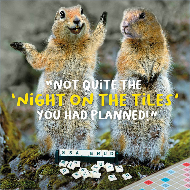 Virtual Safari: Night On Tiles