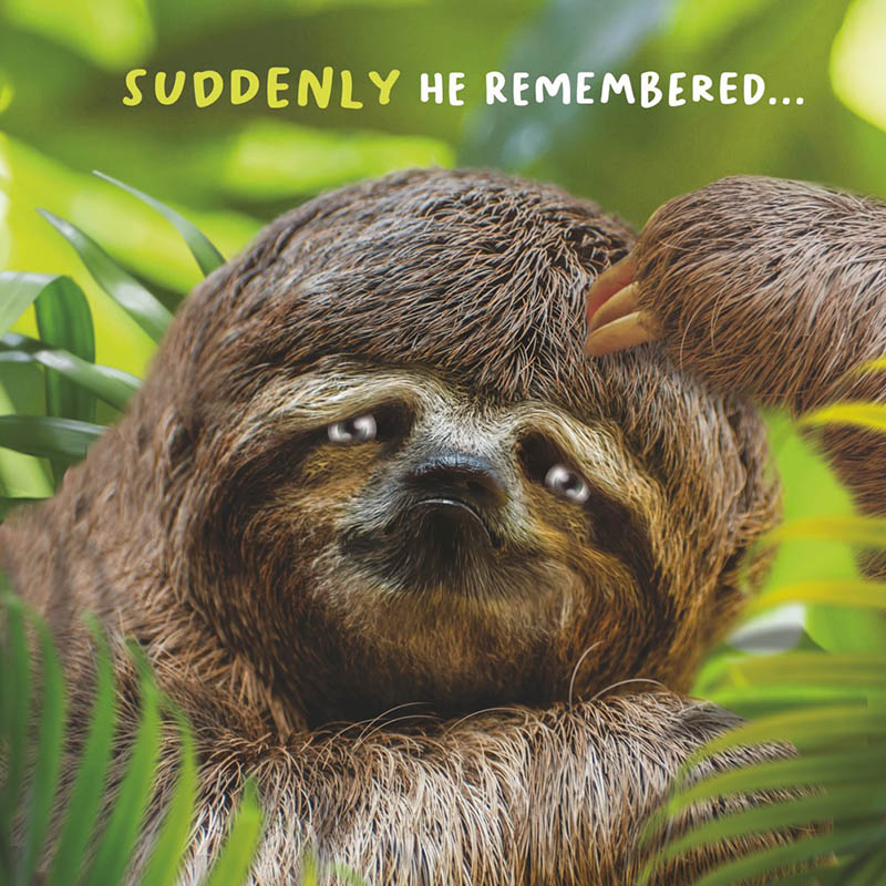 Virtual Safari: Sloth Remembrd