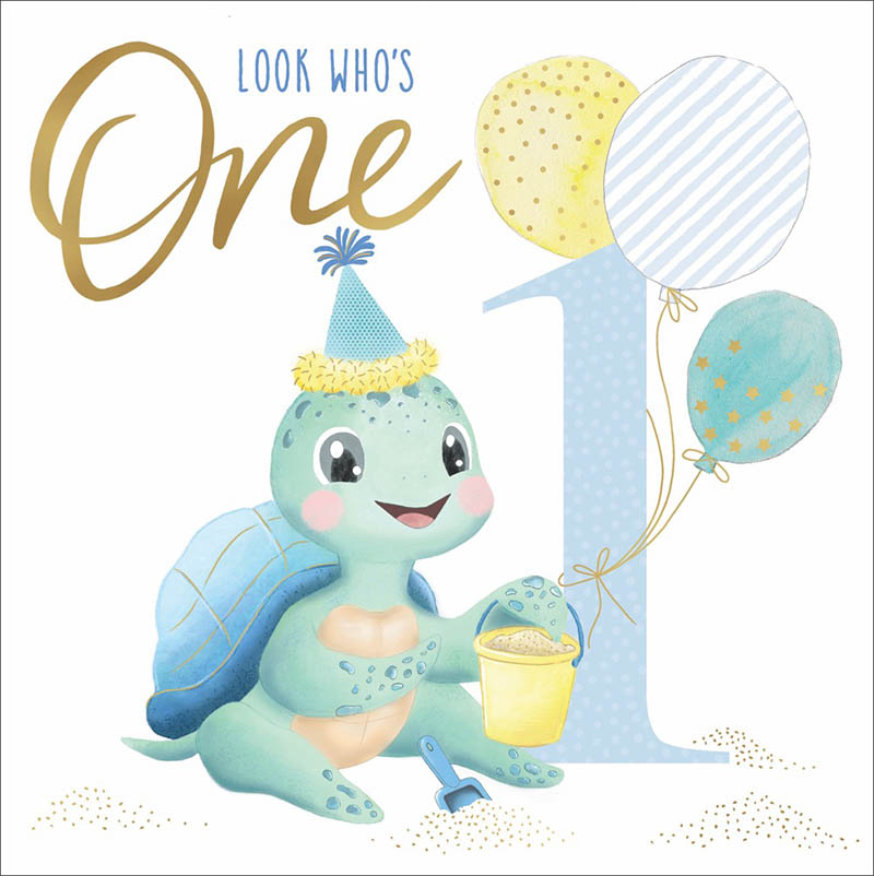 Bday Age  1 Boy Beach Turtle