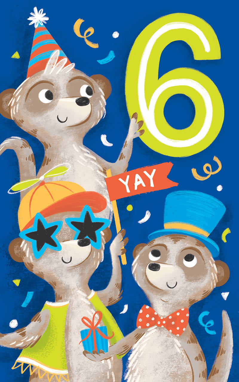 Bday Age  6 Boy Me Erkats