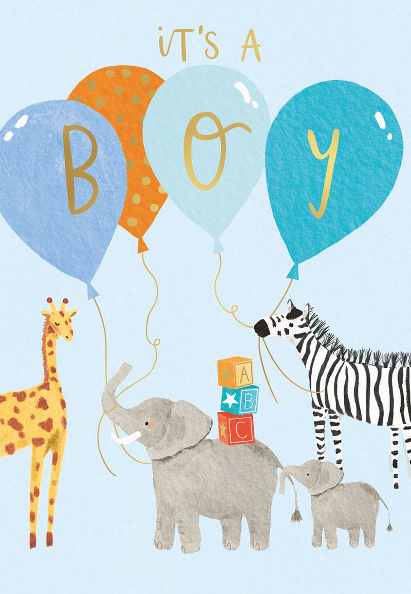 Louise Tiler: Baby Boy Animals