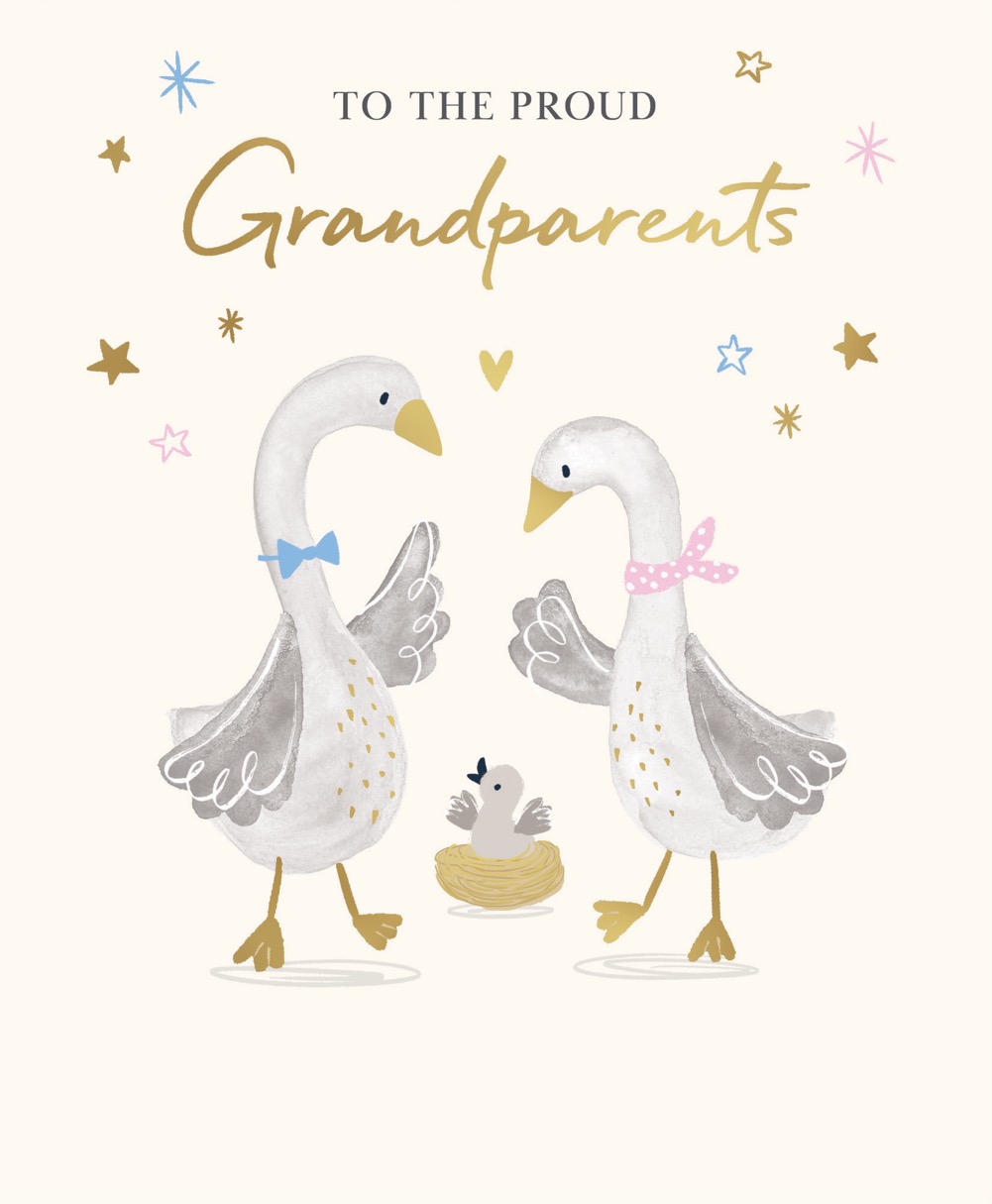 Baby New Grandparents Geese