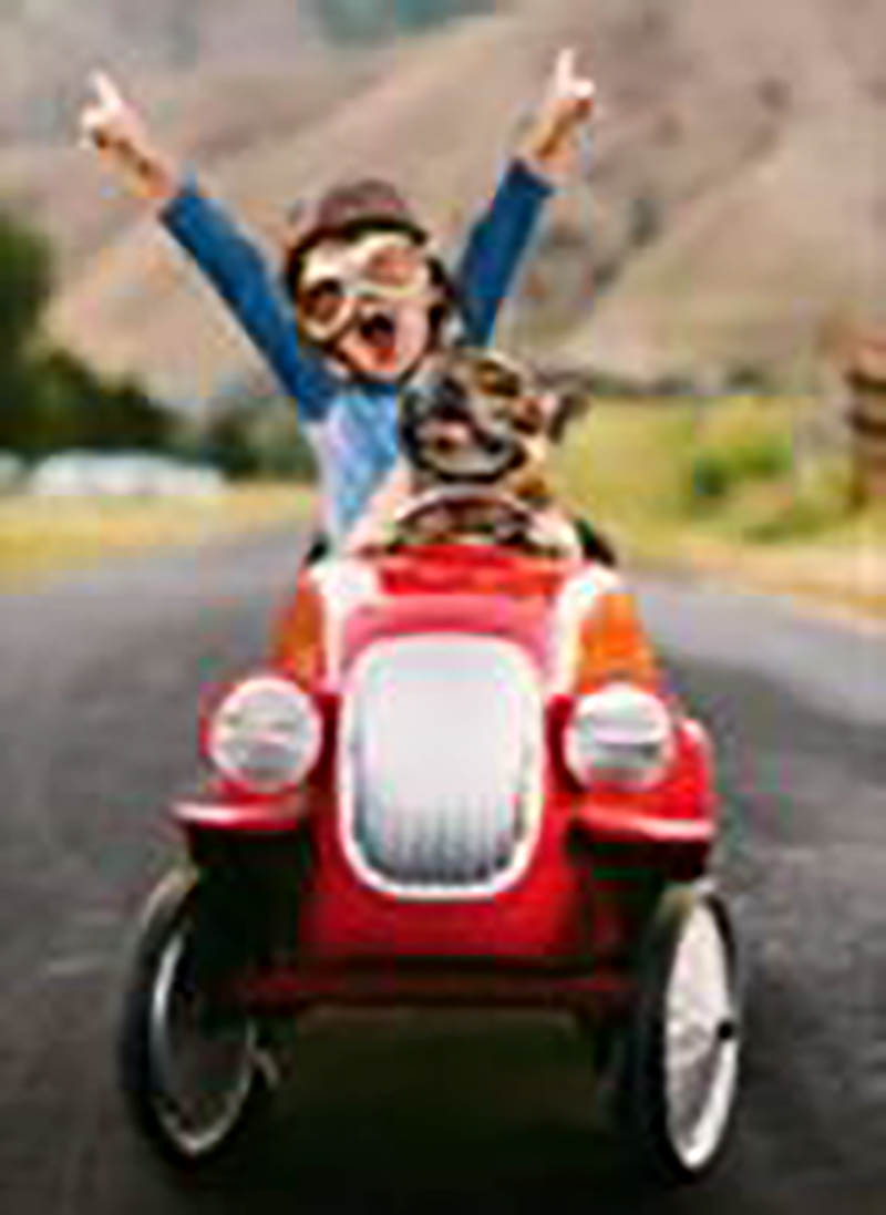 Avanti: Kid And Go Cart