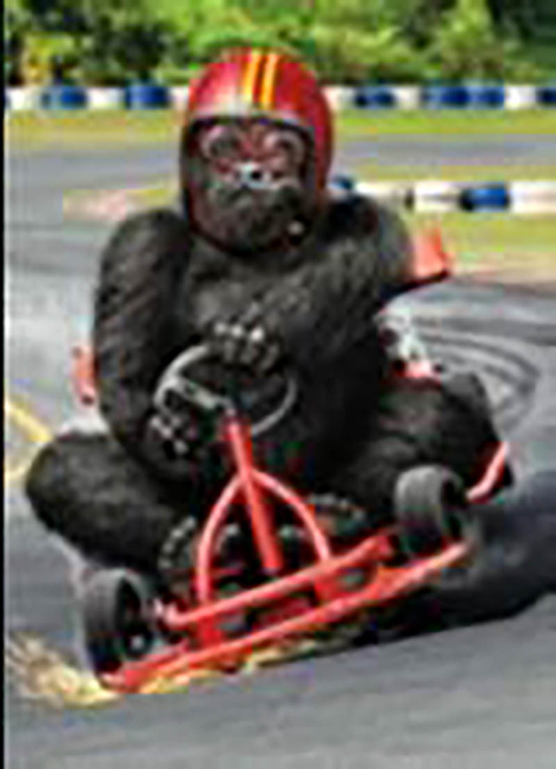 Avanti: Go Kart Gorilla