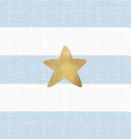 Mini: Blue Star Stripe