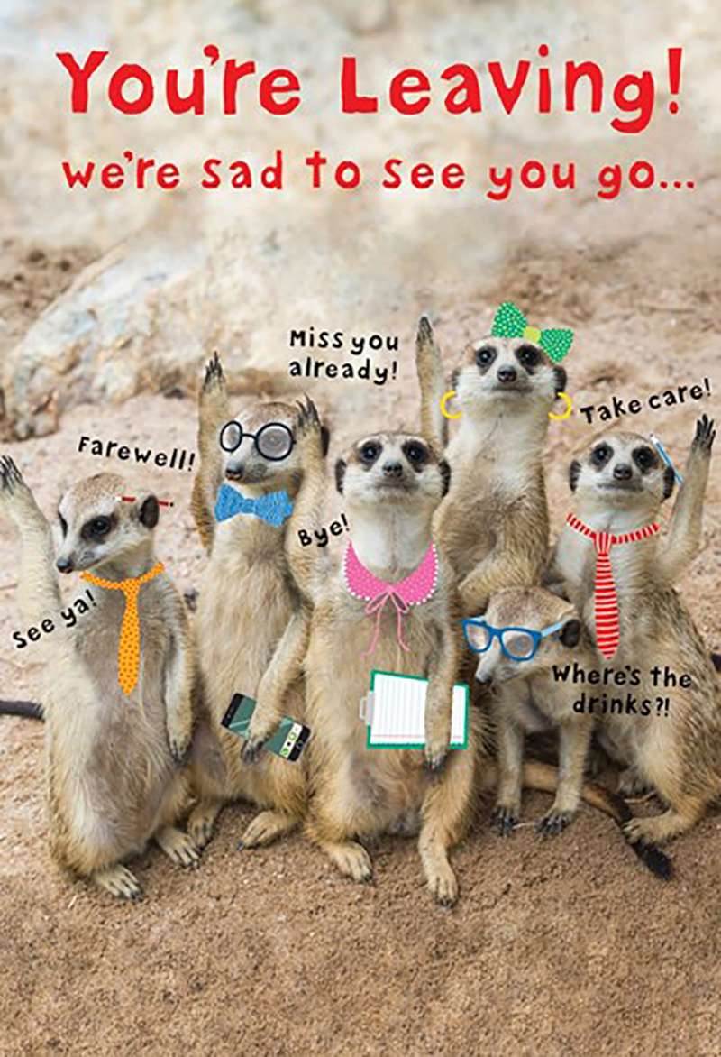 Jumbo: Leaving Meerkats