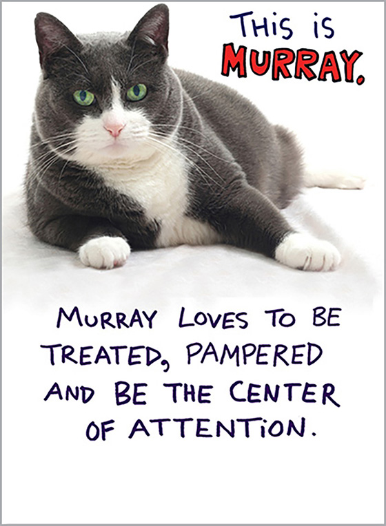 Spirit: Murray