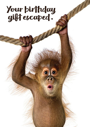 Spirit: Your Gift Escaped