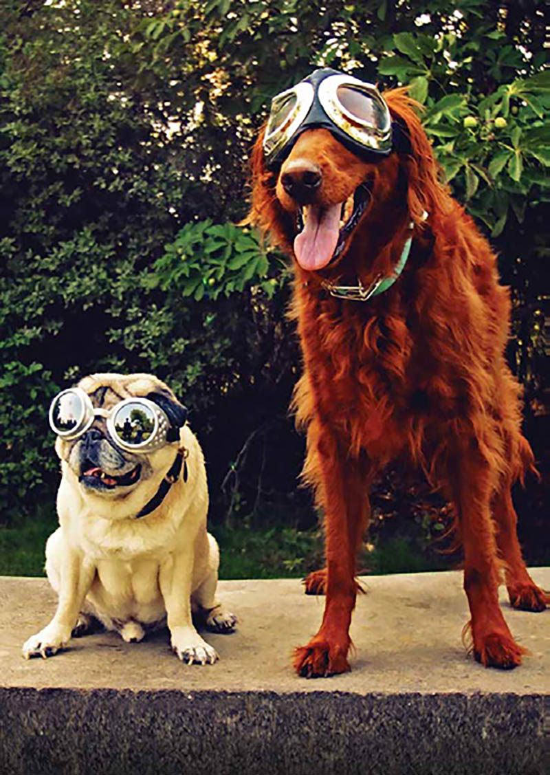 Spirit: All Your Candles