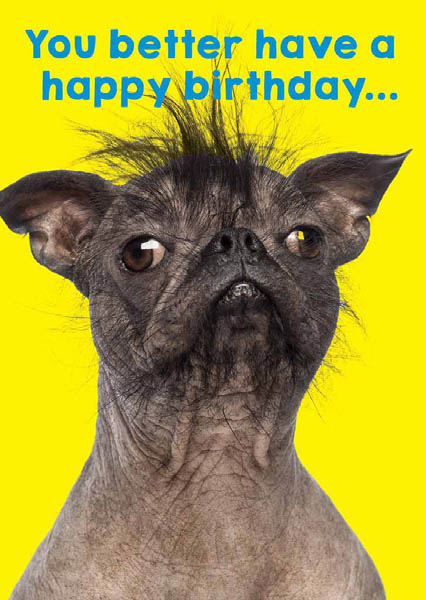 Spirit: Get Ugly Dog