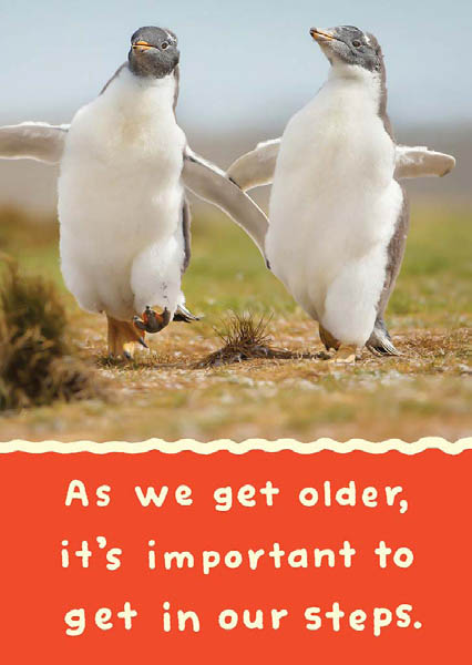 Spirit: Penguin Steps