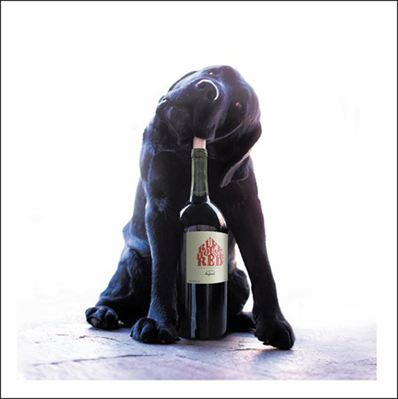 Loose Leash: Wine Bottle