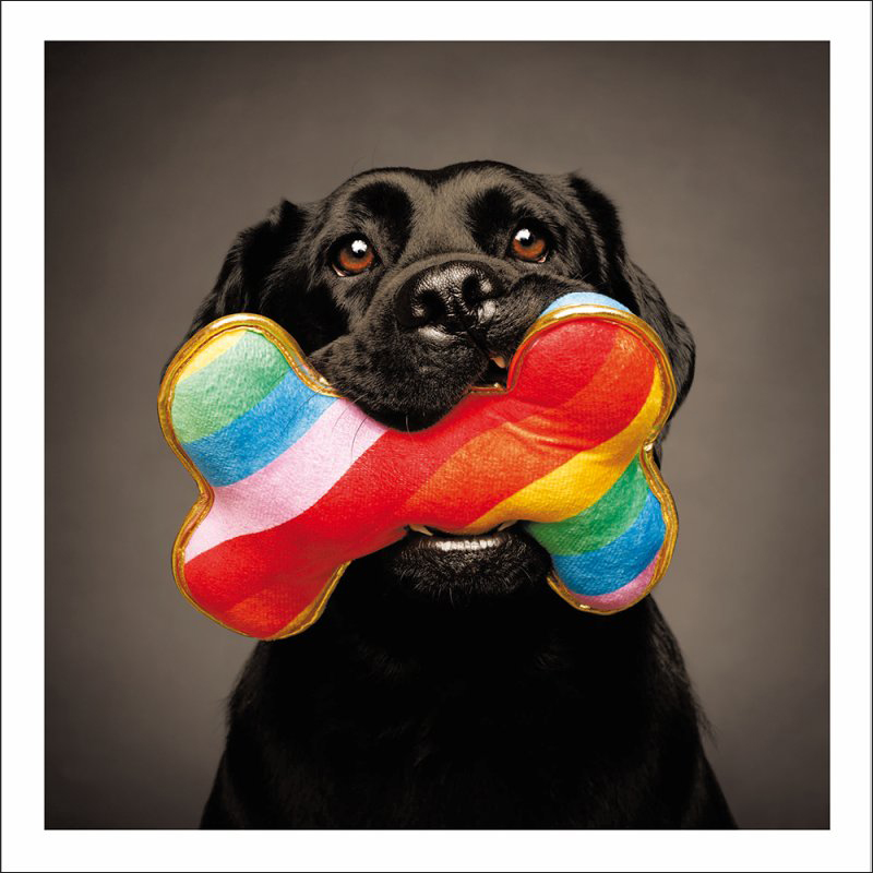 Loose Leash: Rainbow Bone