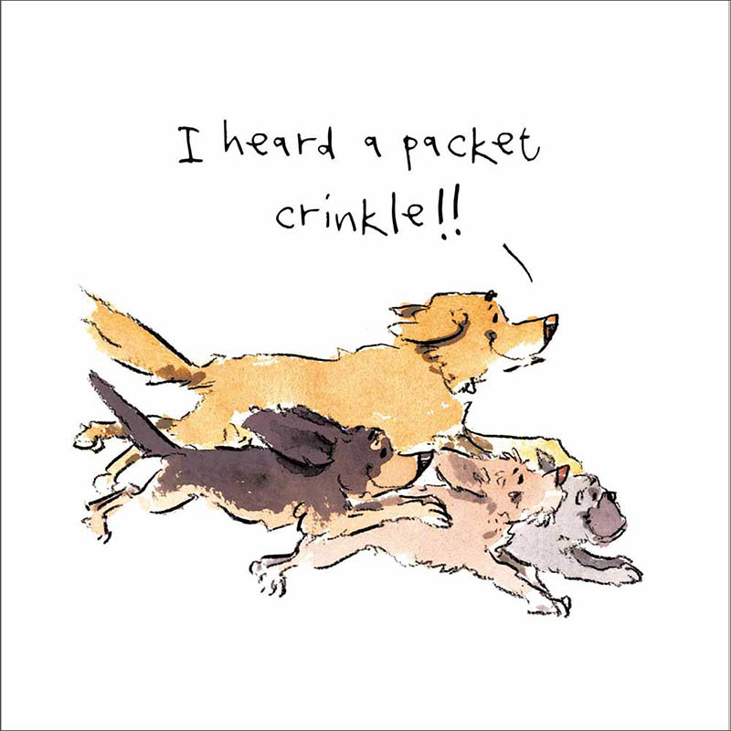 Iain Welch: Packet Crinkle