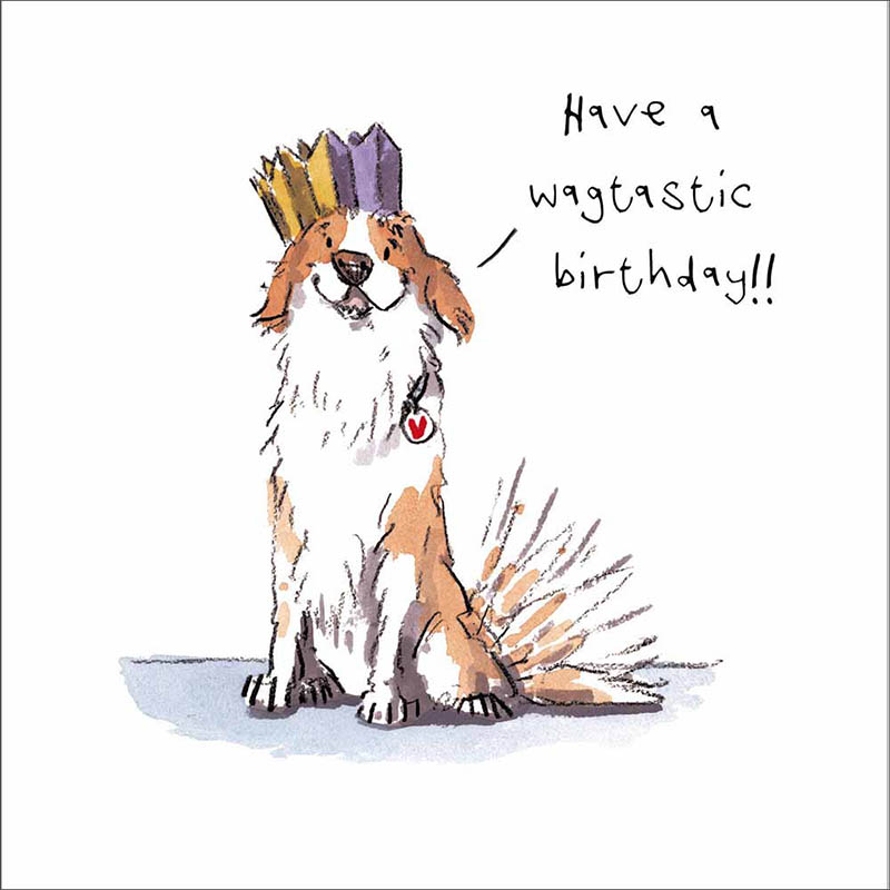 Iain Welch: Wagtastic Birthday