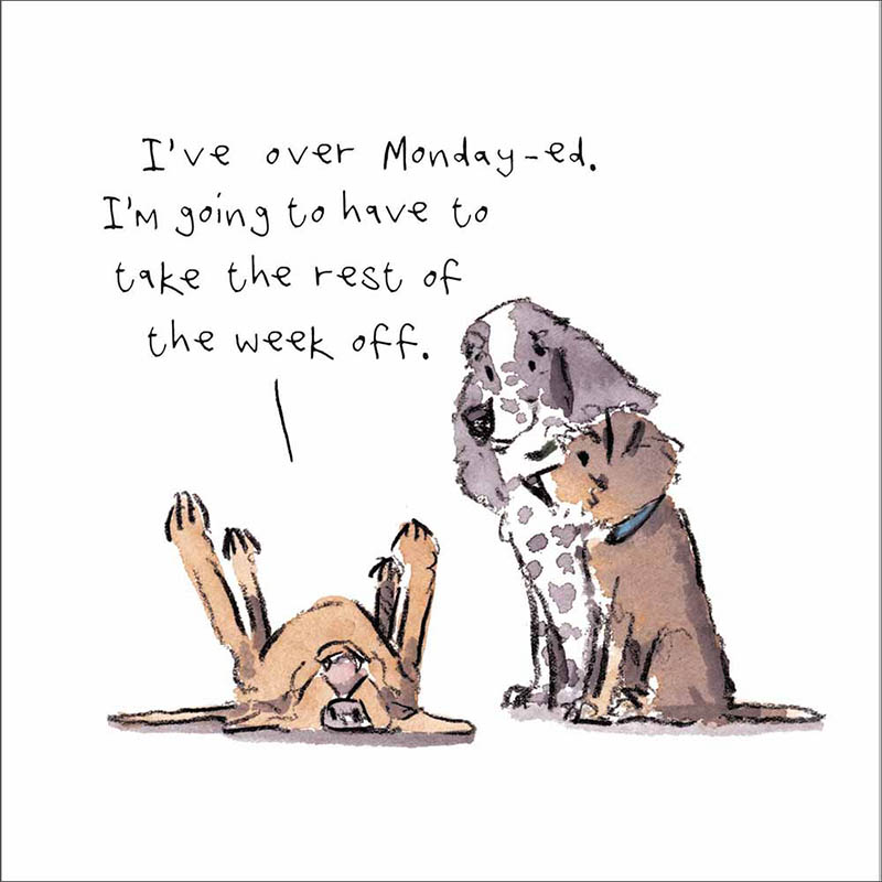 Iain Welch: Monday-Ed