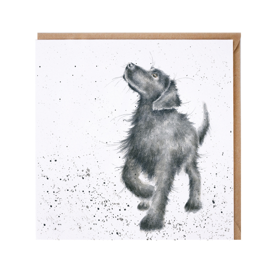 Country Set: Walkies