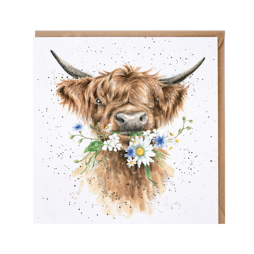 Country Set: Daisy Cow