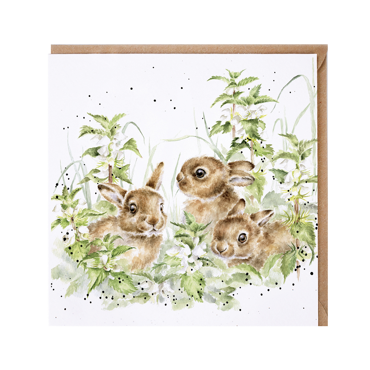 Country Set: Spring Hares