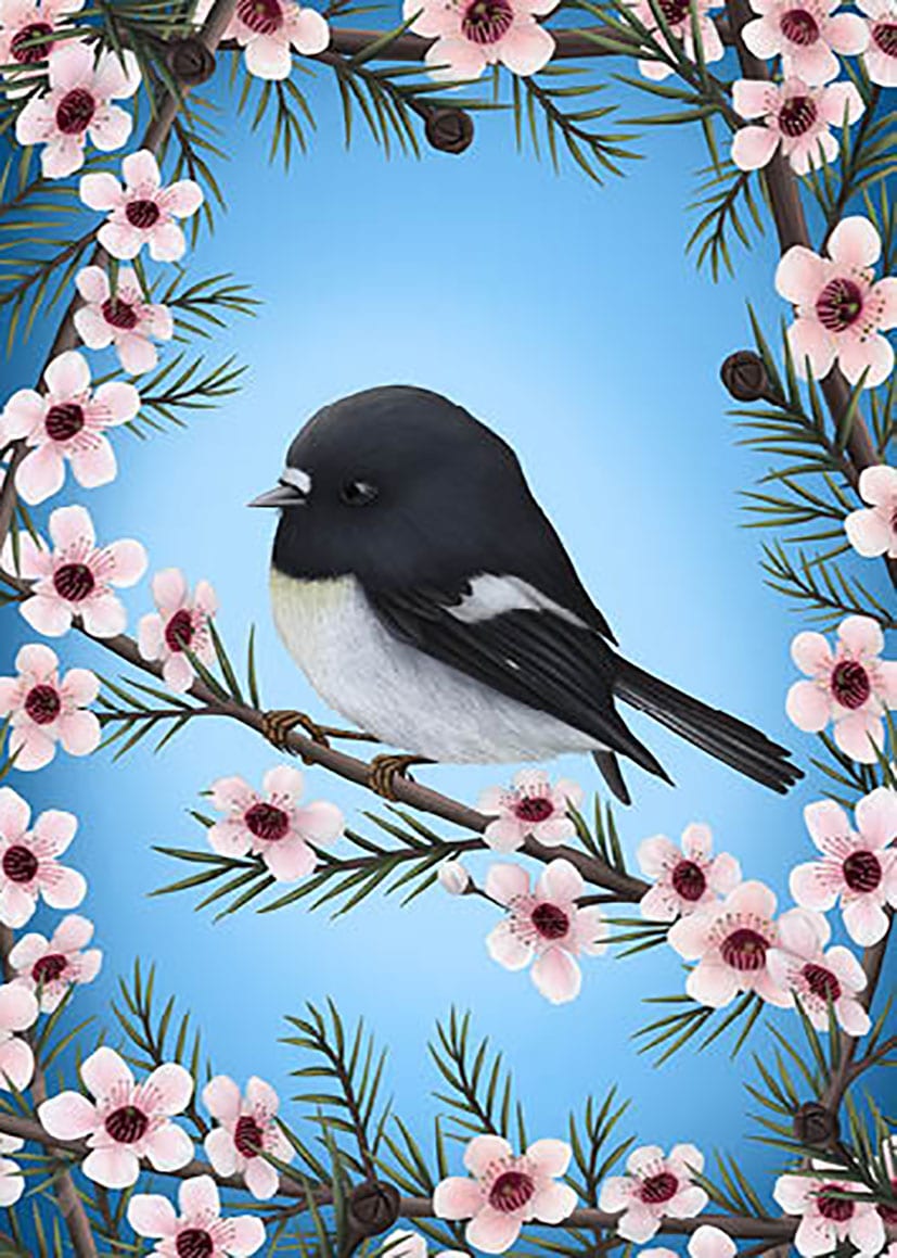 Anna Evans: Miromiro