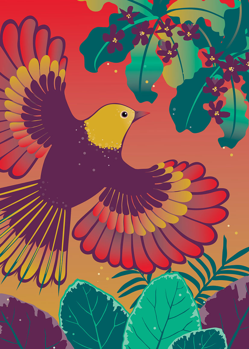 Birds Of A Feather: Mohua