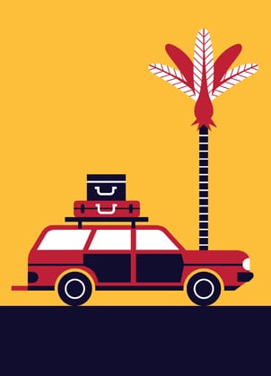 Greg Straight: Car Palm Tree