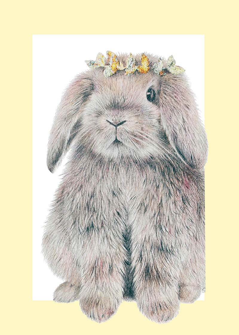 Olivia Bezzet: Bunny